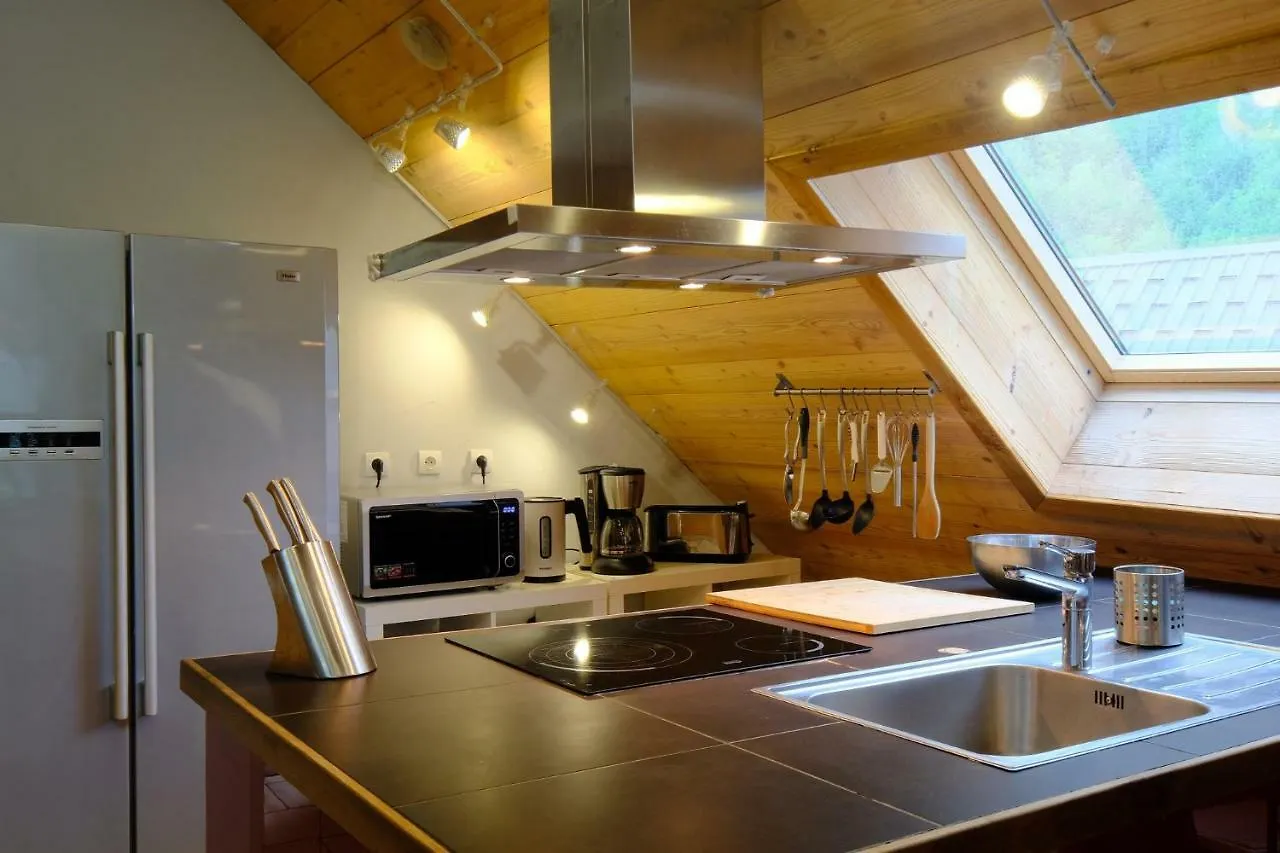 Le Pic Villa Venosc Holiday home